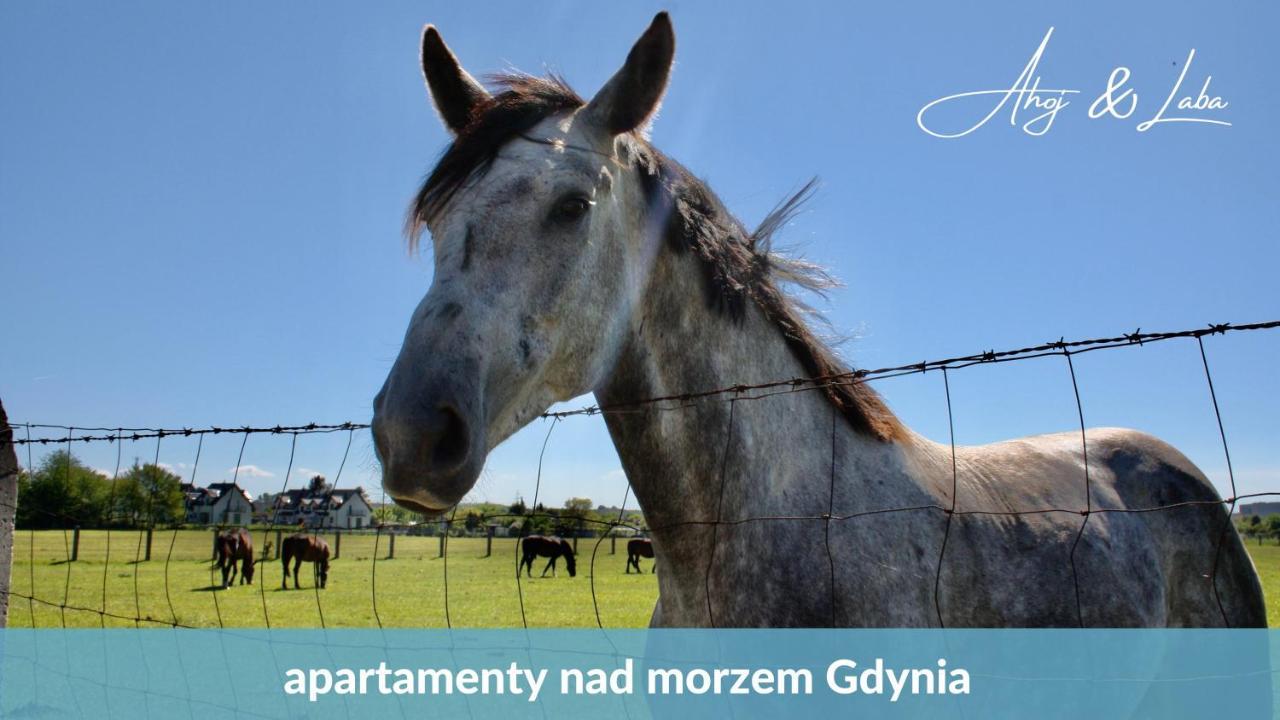 Apartament LABA - blisko plaży, cisza, taras, parking, NOWY! Gdynia Zewnętrze zdjęcie