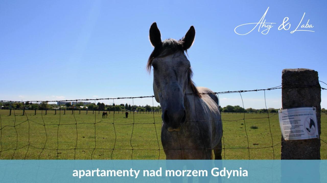 Apartament LABA - blisko plaży, cisza, taras, parking, NOWY! Gdynia Zewnętrze zdjęcie