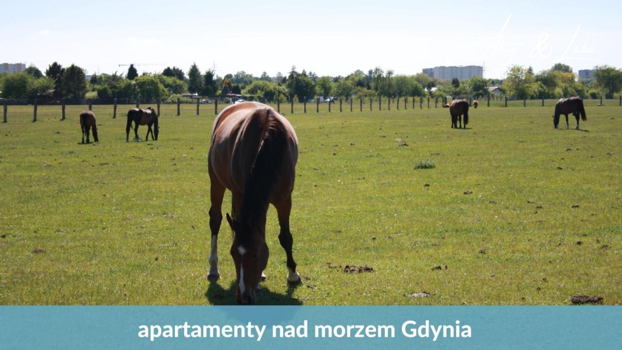 Apartament LABA - blisko plaży, cisza, taras, parking, NOWY! Gdynia Zewnętrze zdjęcie